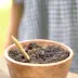 SproutWorld™ Pencil with Seed Cap