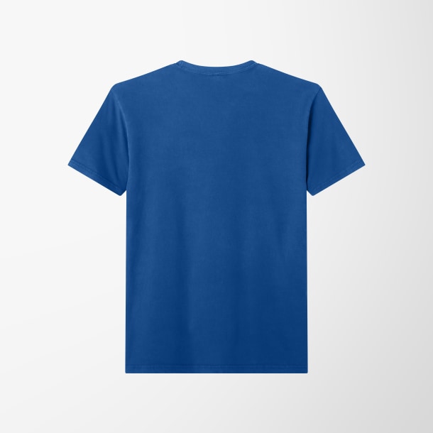 Next Level Apparel® Adult Soft Wash Cotton T-Shirt