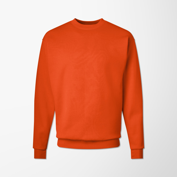 Hanes Men's Crewneck Ecosmart® Sweatshirt