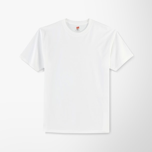 Hanes® Men's Cotton Authentic T-Shirt
