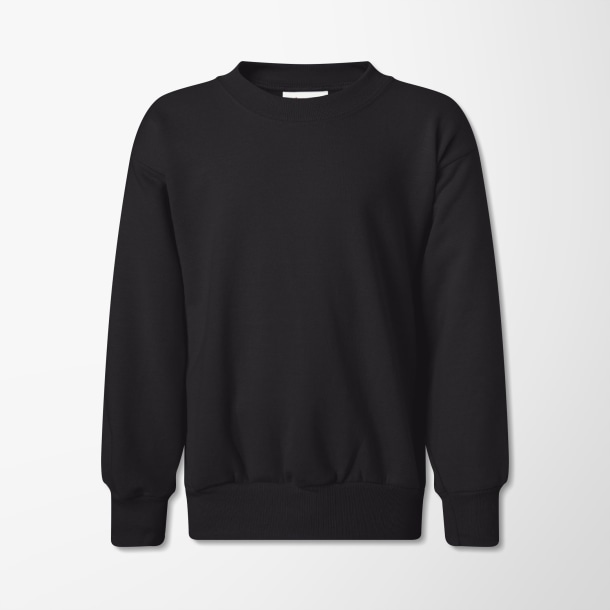 Hanes Youth Crewneck Ecosmart® Sweatshirt