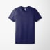 Bella+Canvas Adult Triblend T-Shirt