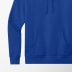 District® Men's Fleece V.I.T.™ Hoodie