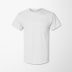 Hanes Men's Authentic T-Shirt