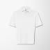 Hanes Men's Cool DRI® Polo