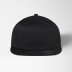 Flexfit Pro-Baseball On Field Cap
