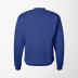 Hanes Men's Crewneck Ecosmart® Sweatshirt