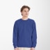 Hanes Men's Crewneck Ecosmart® Sweatshirt