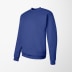 Hanes Men's Crewneck Ecosmart® Sweatshirt