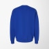 Hanes Men's Crewneck Fleece Perfect Sweatshirt
