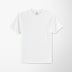 Hanes® Men's Cotton Authentic T-Shirt