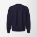 Hanes Adult Heavyweight Beefy® Sweats Crewneck
