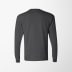 Hanes Women's Long-Sleeve Authentic T-Shirt
