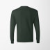 Hanes Women's Long-Sleeve Authentic T-Shirt