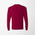 Hanes Women's Long-Sleeve Authentic T-Shirt