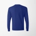 Hanes Women's Long-Sleeve Authentic T-Shirt