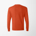 Hanes Women's Long-Sleeve Authentic T-Shirt