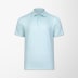 Swannies Men's Springs Polo