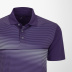 Vansport Men's Striped Highline Polo